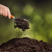 ee1b3b6505d9becb76cdbbf99ce10ee.png